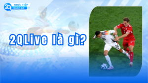 2qlive 1 1