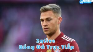 2qlive bong da truc tiep