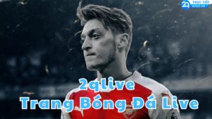 2qlive trang bong da live