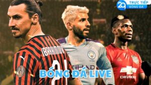 bong da live