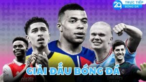 giai dau bong da