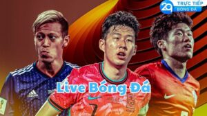 live bong da