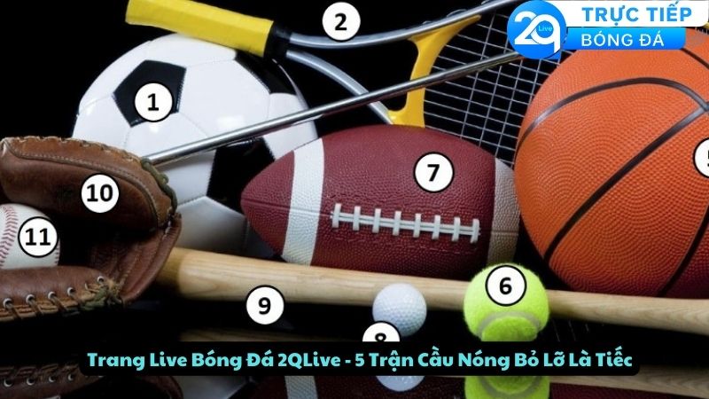 trang live bong da 2qlive