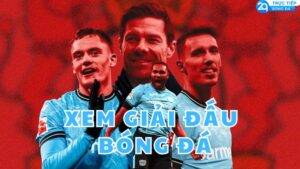 xem giai dau bong da