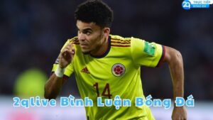 2qlive binh luan bong da
