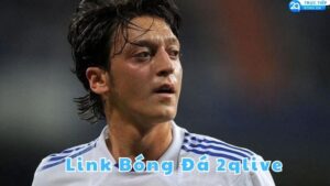 link bong da 2qlive