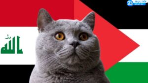 soi keo iraq vs palestine
