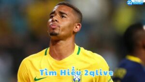 tim hieu 2qlive