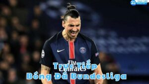truc tiep bong da bundesliga