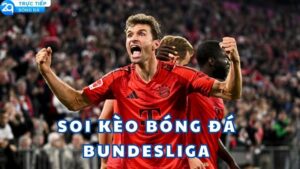soi keo bong da bundesliga